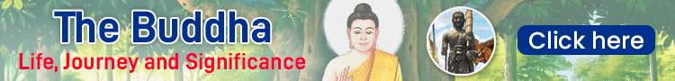 The buddha life journey and significance
