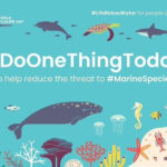 2019 World Wildlife Day