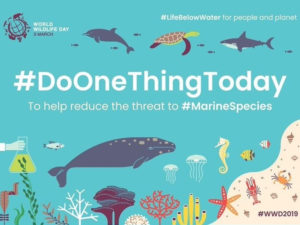 World Wildlife Day 2019: A Global Snapshot, Glance at Nepal!