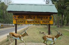 https://nepalisansar.demolobby.com/wp-content/uploads/2019/04/Banke-national-park.jpg