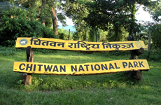 https://nepalisansar.demolobby.com/wp-content/uploads/2019/04/Chitwan-national-park.jpg