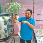 Nepal Aeroponic Technology