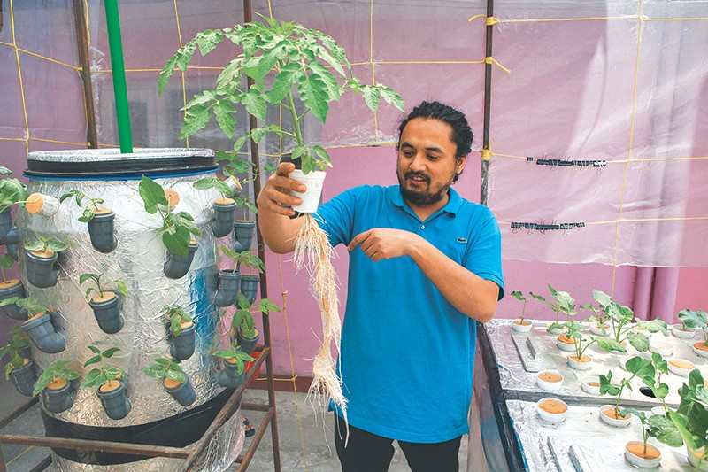 Nepal Uses Aeroponic Technology to Beautify Kathmandu