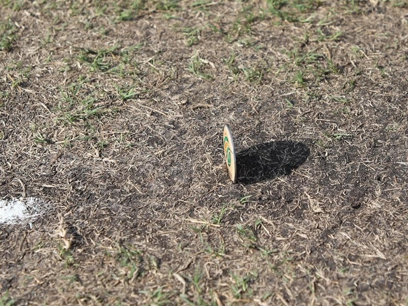 Coin fails to land on either side during toss in Nepal vs Hong Kong U19 final match