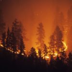 Amazon Rainforest Fires