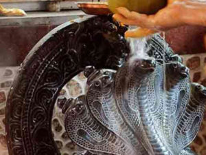Nepal Observes Naag Panchami 2019