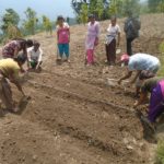 Gurvakot Municipality Introduces ‘One House, One Employment Policy’ and More