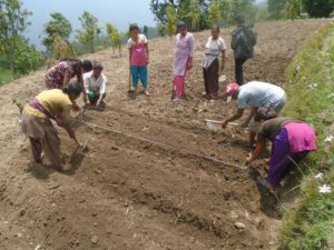 Gurvakot Municipality Introduces ‘One House, One Employment Policy’ and More