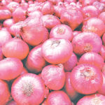 Nepalis Tear for Onions, ‘Record’ Prices at NPR 230/Kilo