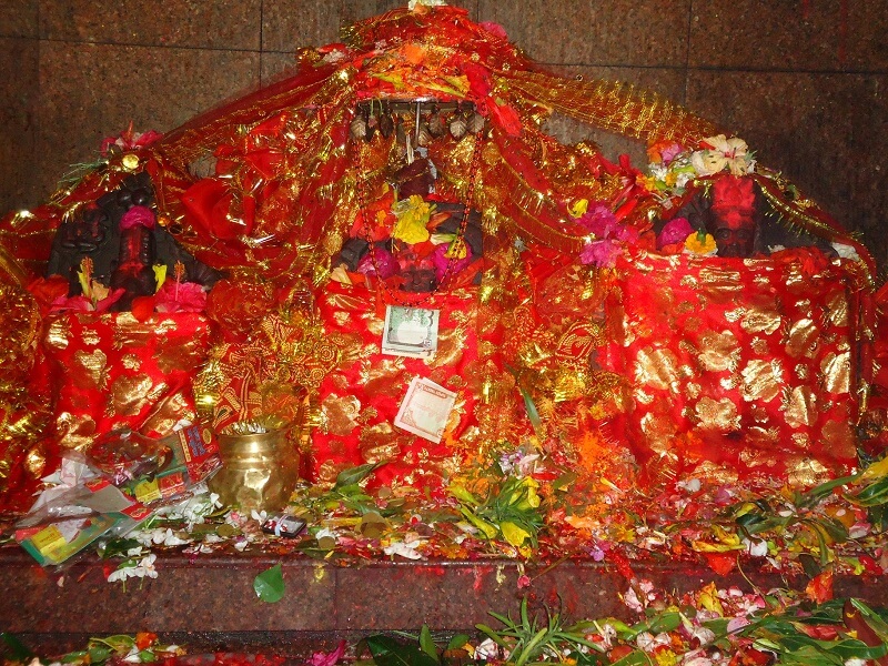 Gadhimai Mela 2019 to Witness 8 Million Speculators