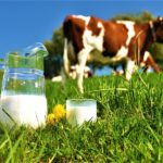 Nepal Dairy Industry