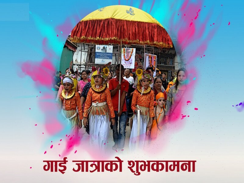Nepal Celebrates Gaijatra, The ‘Cow Festival’!